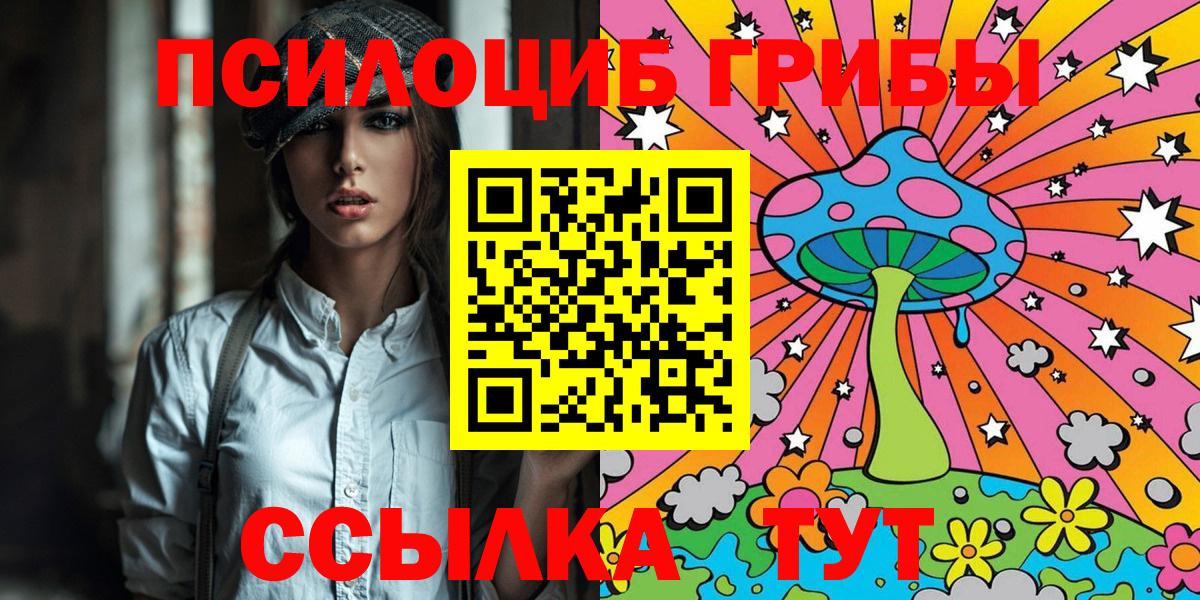 Псилоцибиновые грибы Psilocybe  Вход с VPN  цена   Сунжа 
